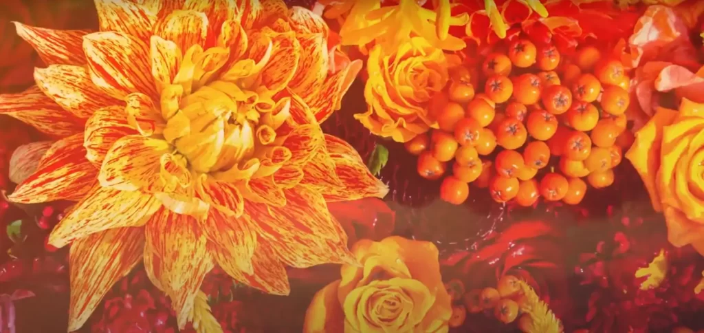 September Birth flower: Astra